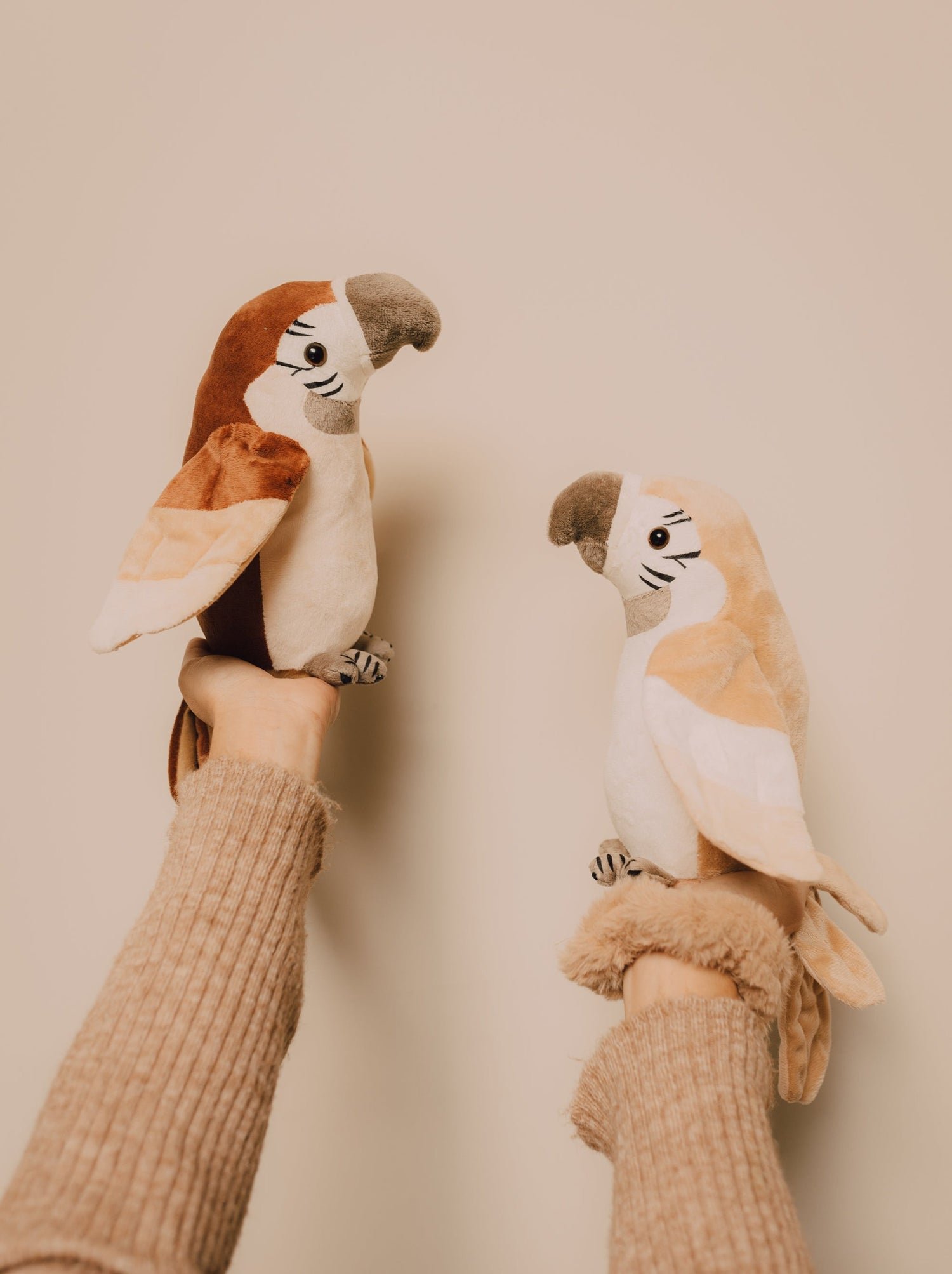 Pierre le perroquet qui parle – Rusted – Image 3