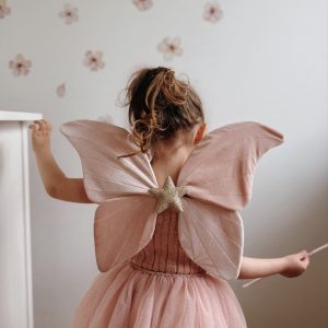 Ailes en velours de papillon rose