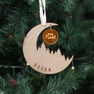 Boule Lune enneigée