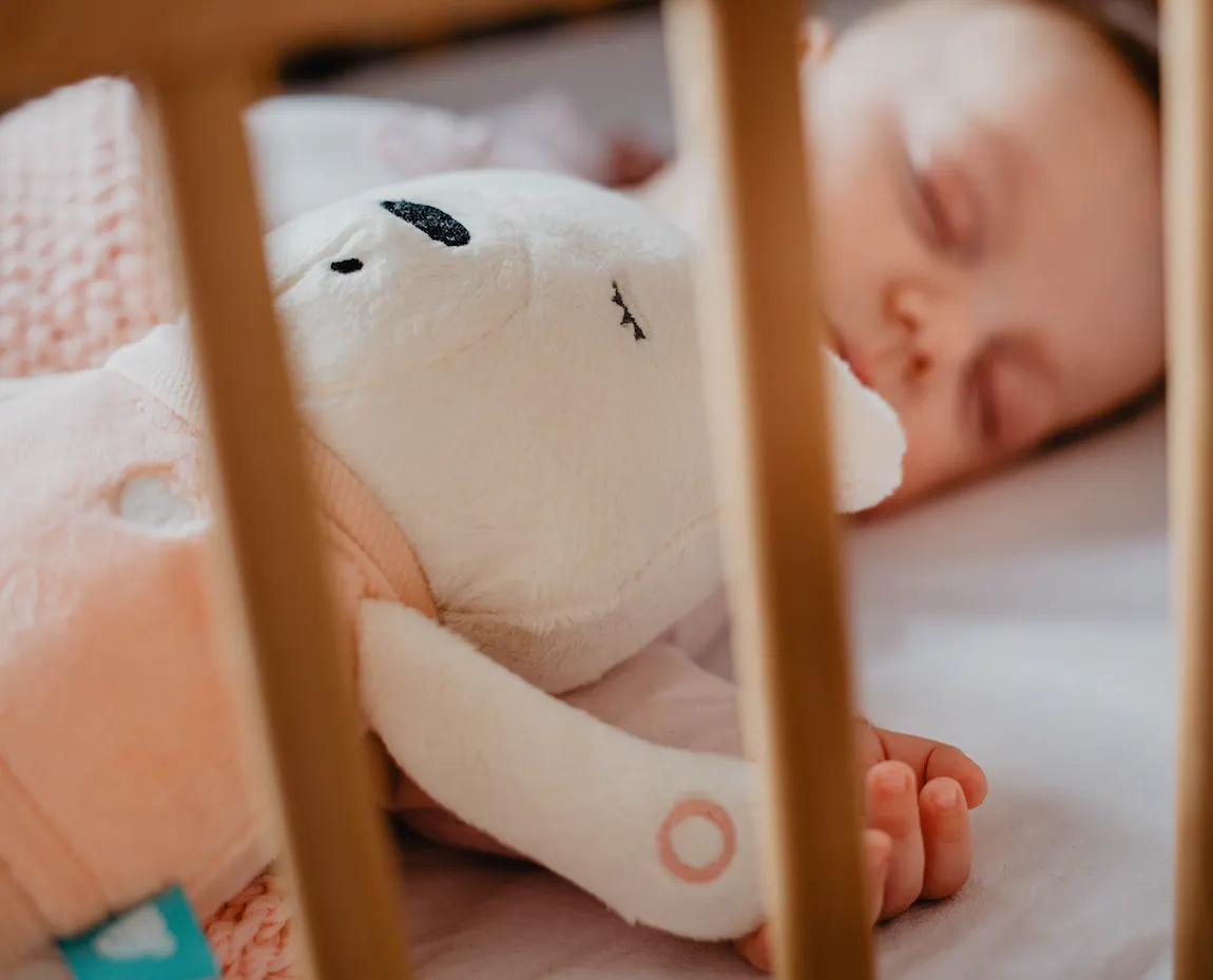 Ours en peluche Suzy premium _ MyHummy – Image 4