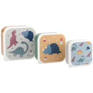 Lot de 3 boîtes à lunch Dinosaures