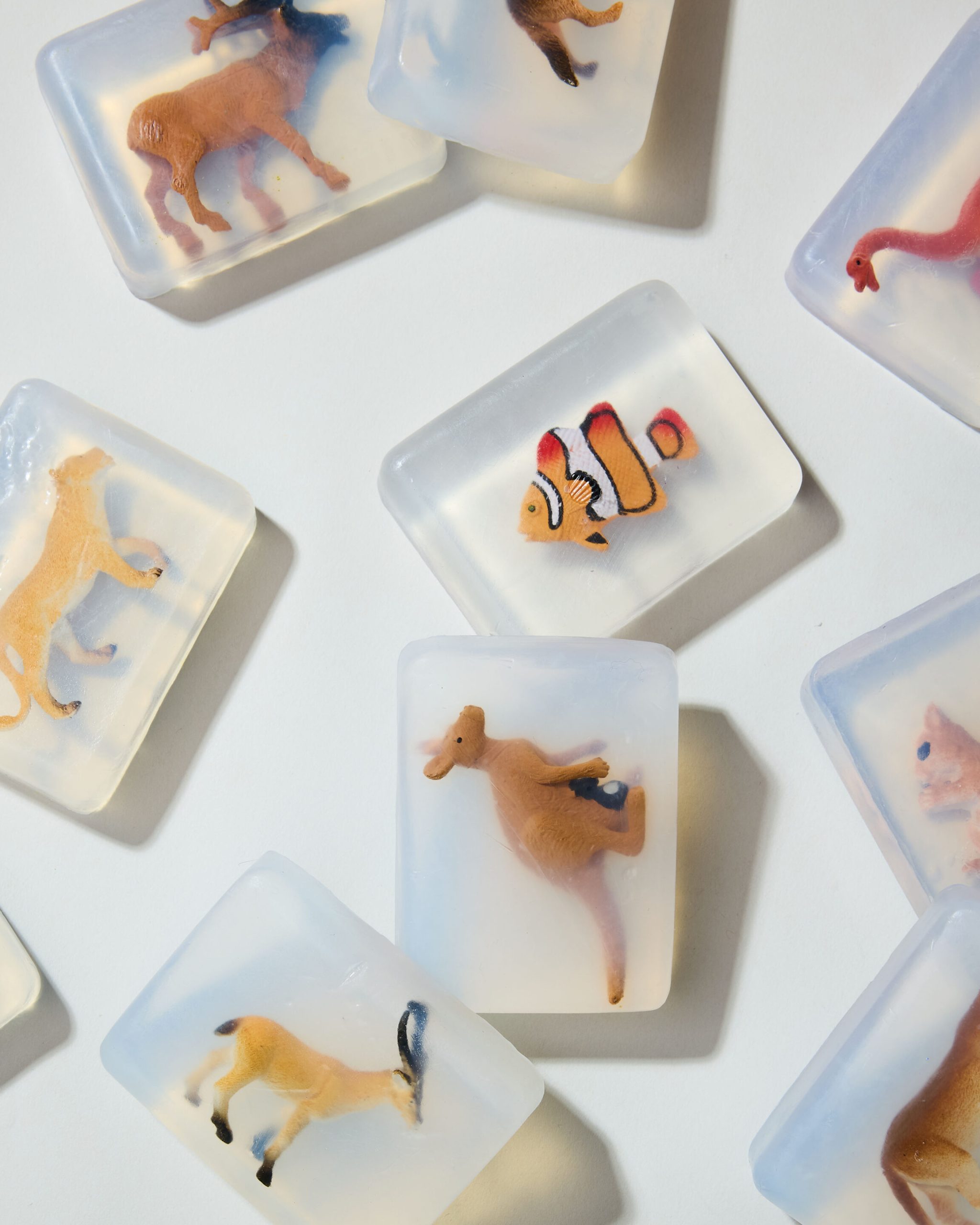 Savon Lion – Image 3