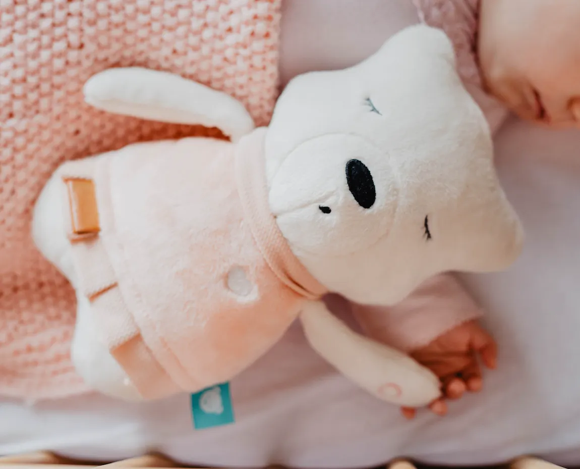 Ours en peluche Suzy premium _ MyHummy – Image 5