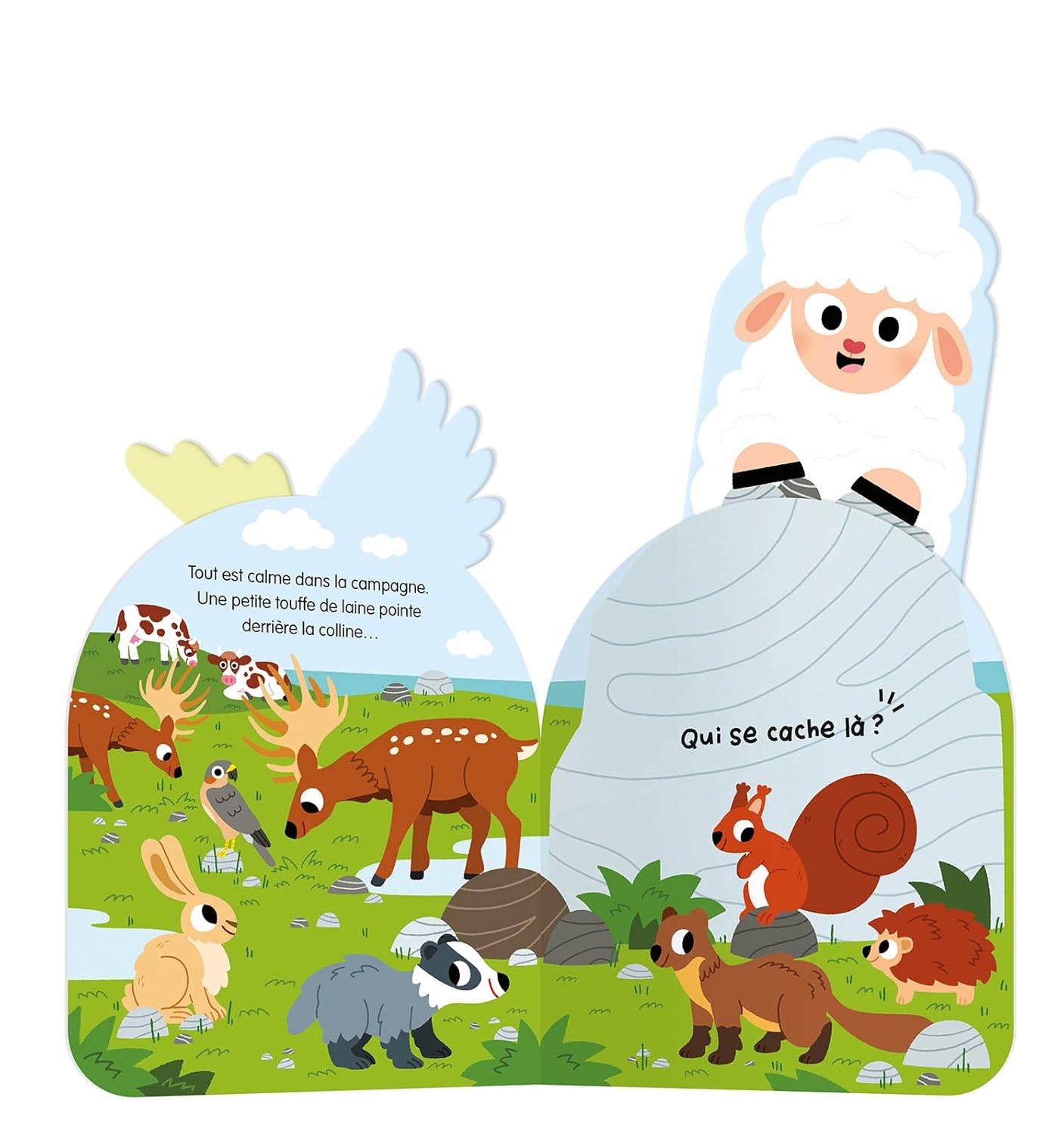 Mon coucou sonore – À qui sont ces drôles de crêtes ? – Image 2