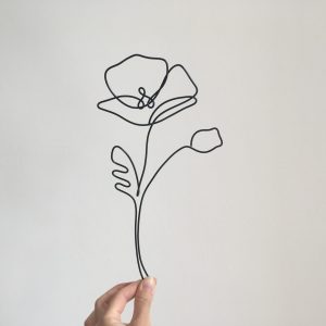 Coquelicot en filaire