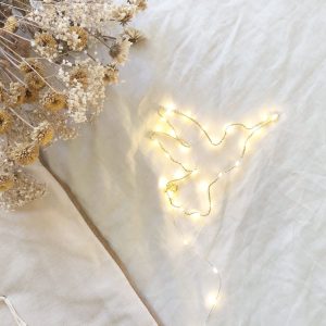 Colibri la lumineuse