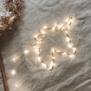 Licorne la lumineuse