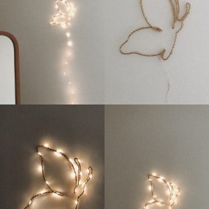 Le papillon la lumineuse