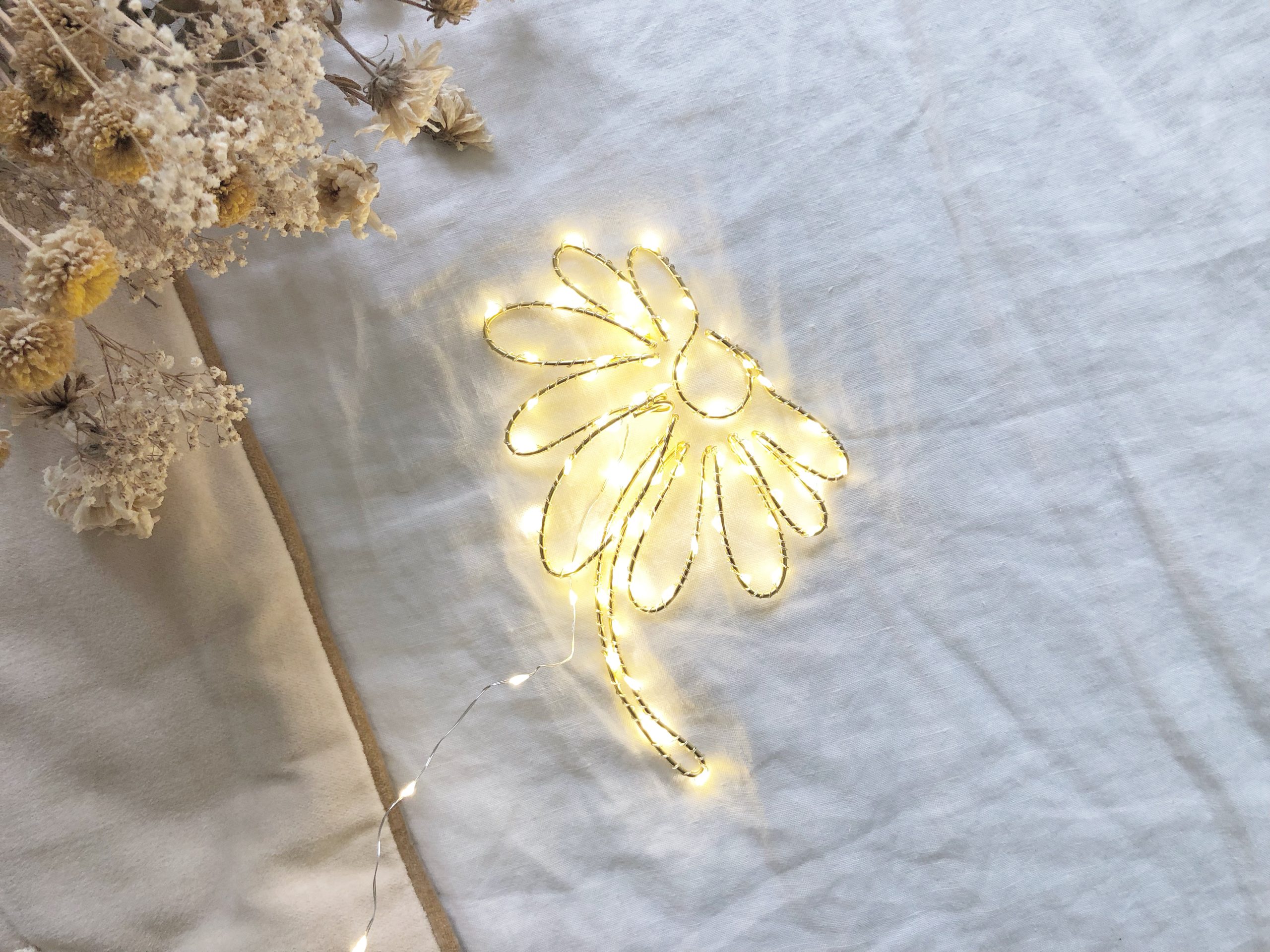 Marguerite la lumineuse