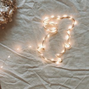 Mon petit lapin la lumineuse