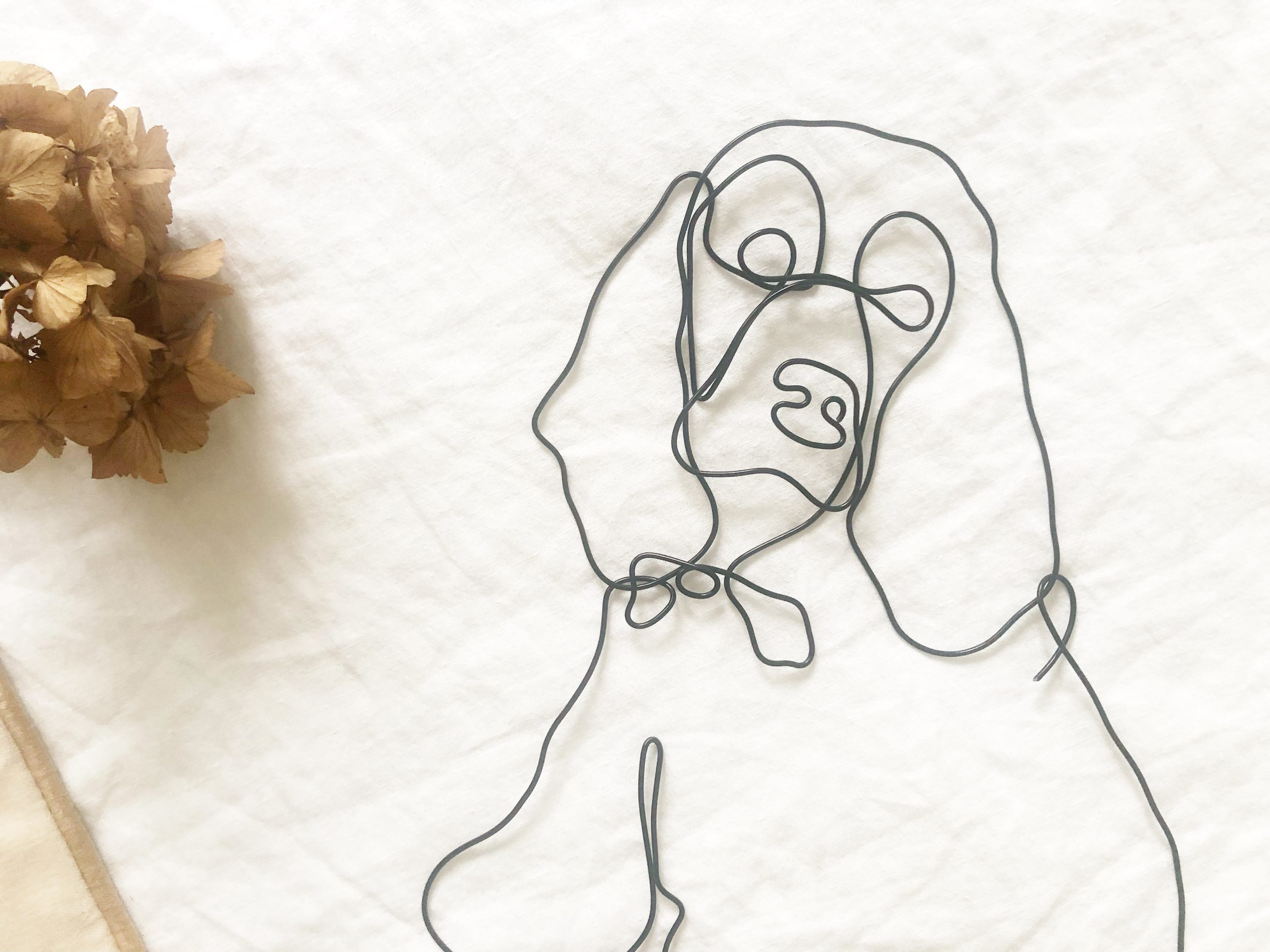 Votre animal de compagnie – Image 2