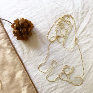 Votre animal de compagnie