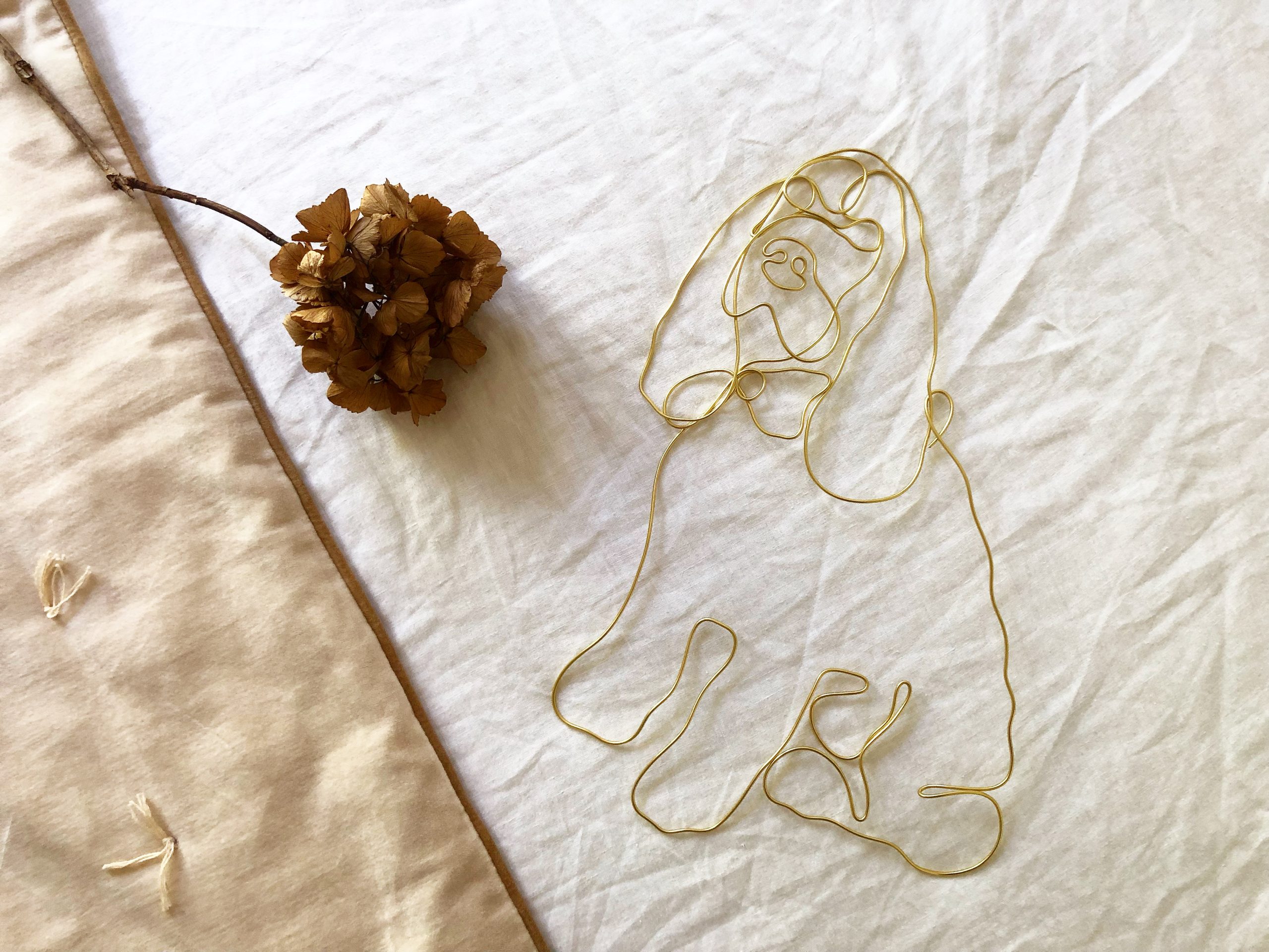 Votre animal de compagnie