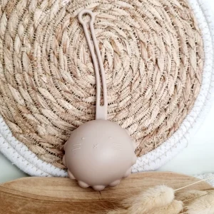 Range tétine en silicone Sable