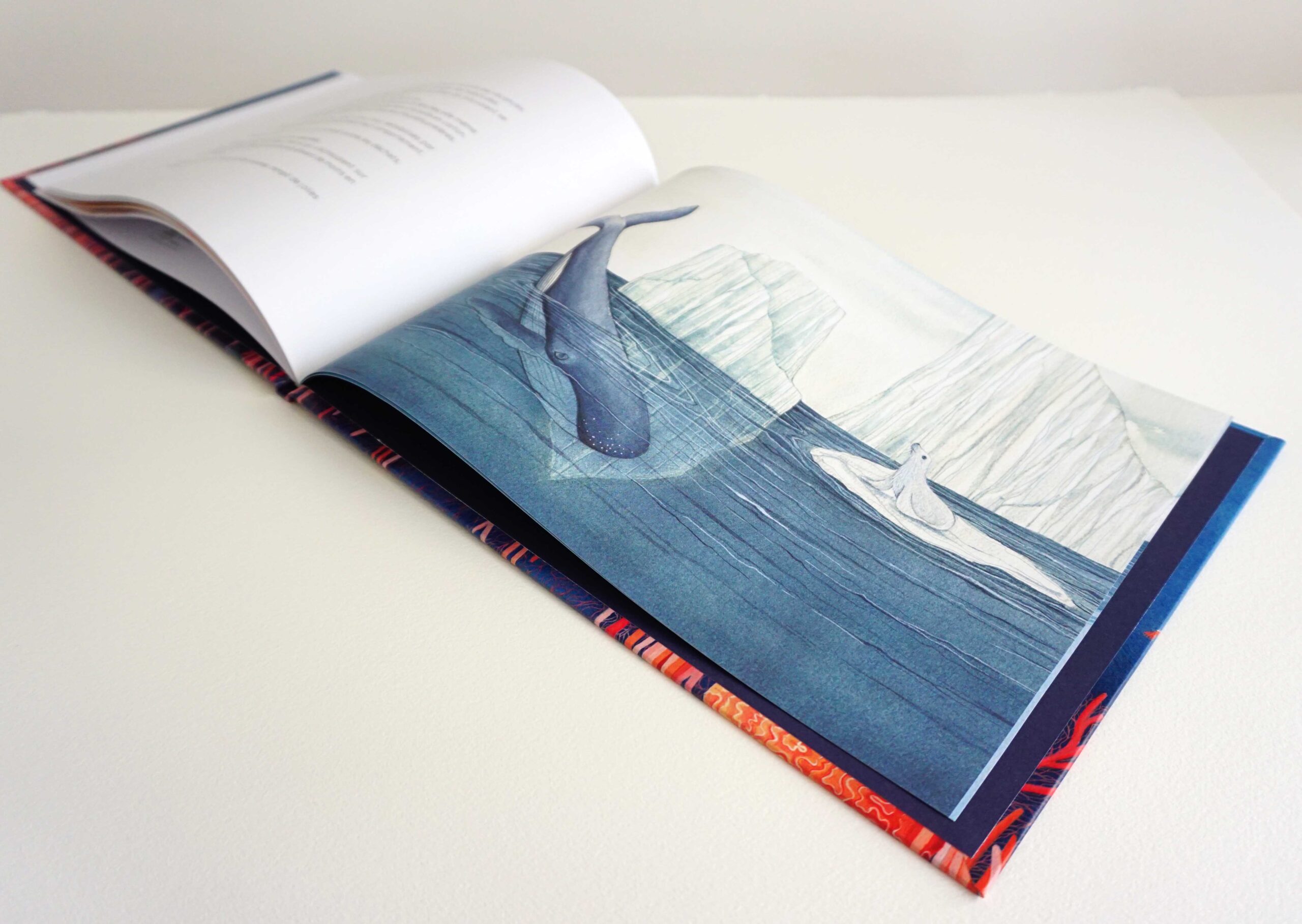 Un océan à sauver – Image 6