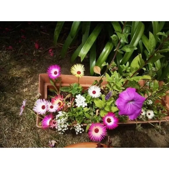 Carte à planter « Félicitations Cigogne » – naissance – Image 2