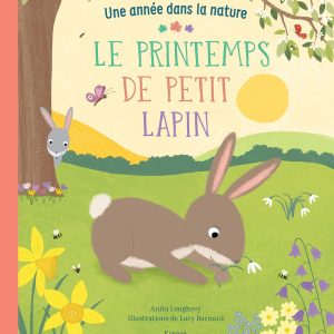 Le printemps de petit lapin (collection une année dans la nature)