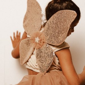 Ailes scintillantes déguisement de princesse papillon