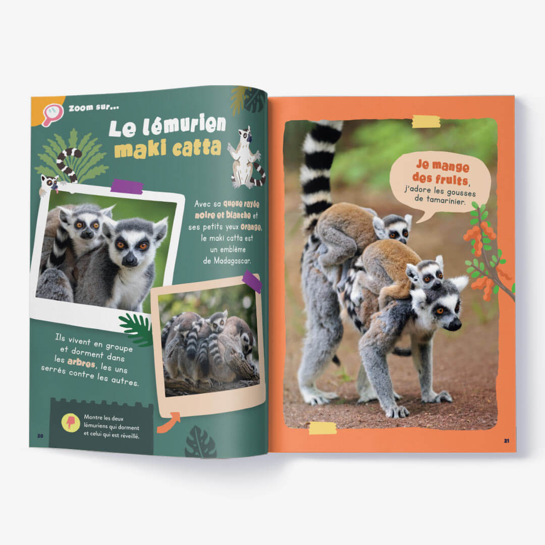 Le magazine enfants Madagascar – Dès 1 an – Image 4