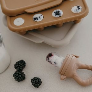 Bac à glaçons camel