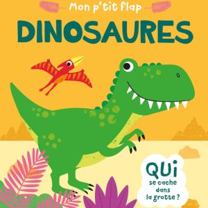 Petit flap de poche / Dinosaures