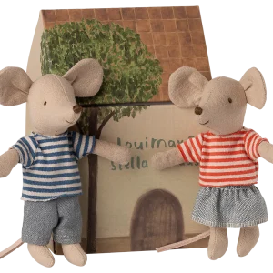 Fratrie souris dans sa boîte