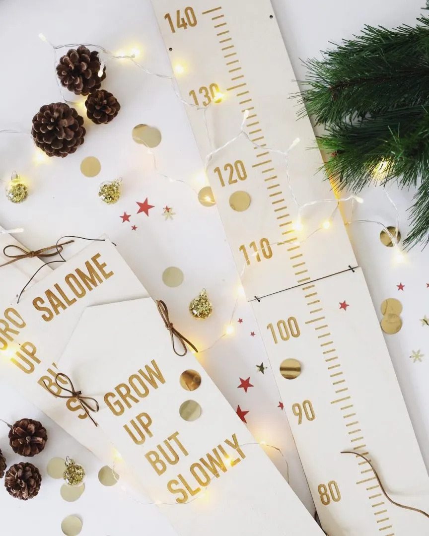 TOISE EN BOIS « GROW UP BUT SLOWLY » – Image 2