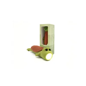 Lampe torche / Tortue