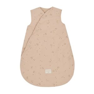 Gigoteuse hiver / Willow dune