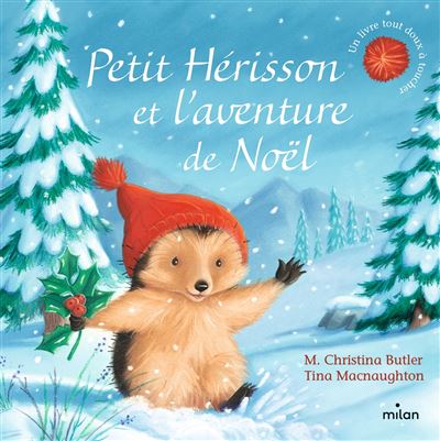 Petit hérisson et l’aventure de noël
